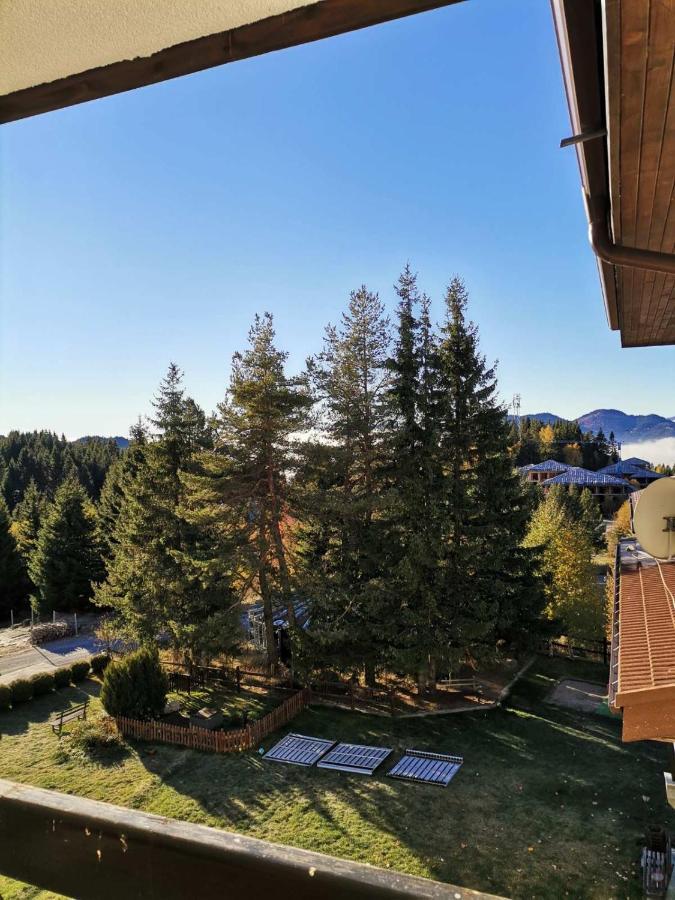 Forest Home 524 Smolyan Eksteriør billede