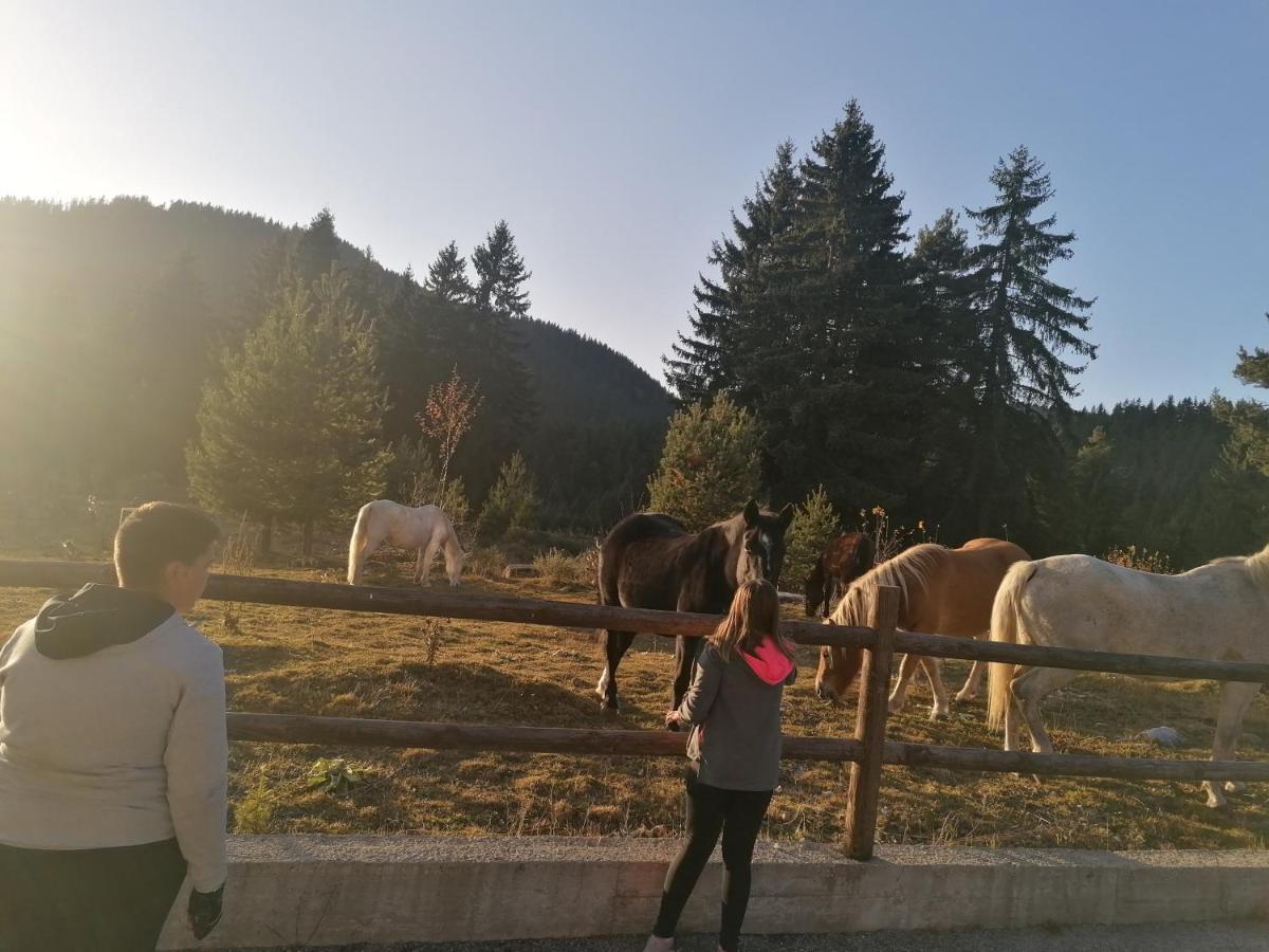 Forest Home 524 Smolyan Eksteriør billede