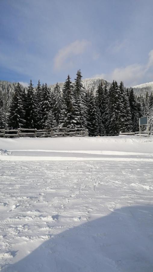 Forest Home 524 Smolyan Eksteriør billede